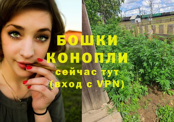 твердый Арсеньев