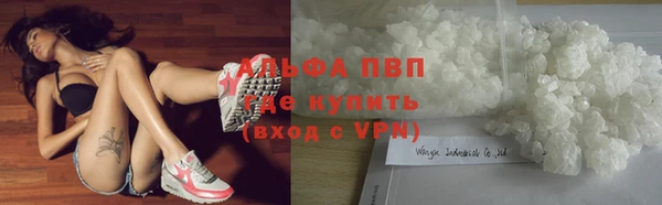 твердый Арсеньев