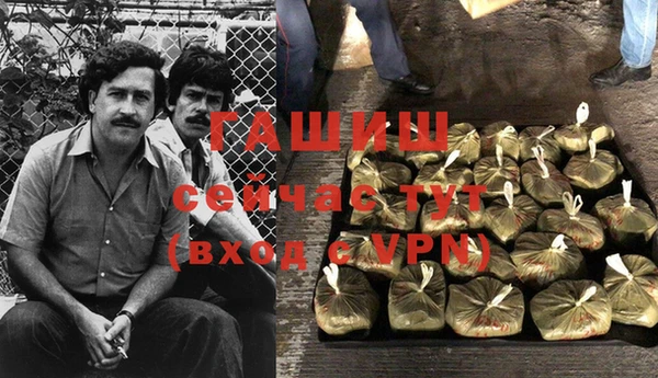 твердый Арсеньев