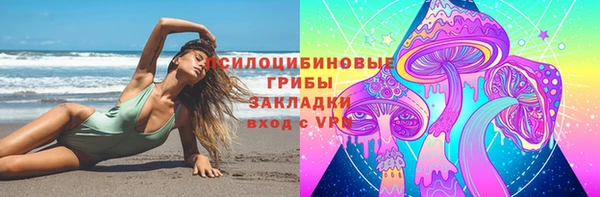 твердый Арсеньев