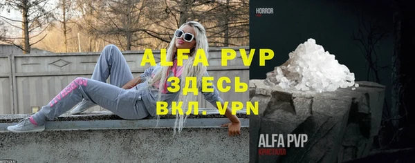 прущий лед Анива